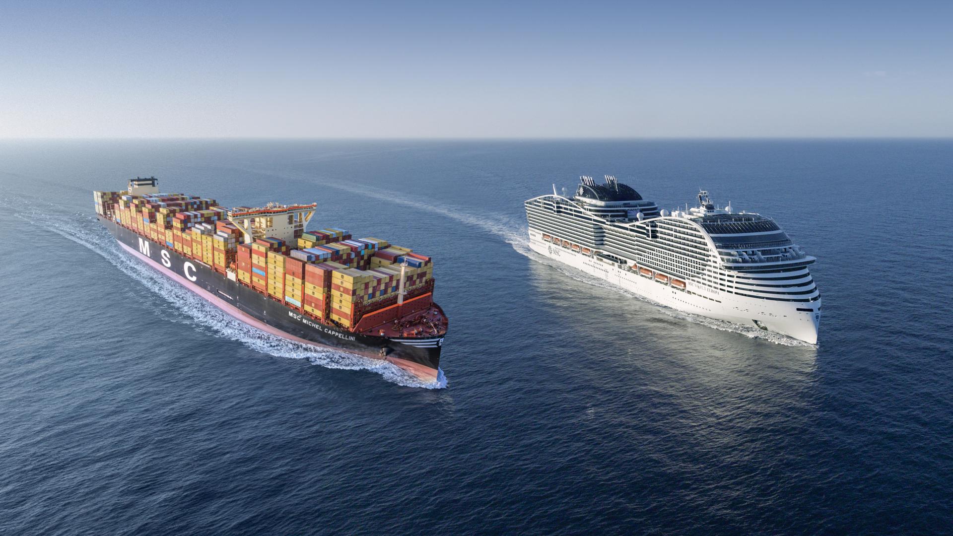 MSC cargo ship and cruise ship sailing parallel in the sea.