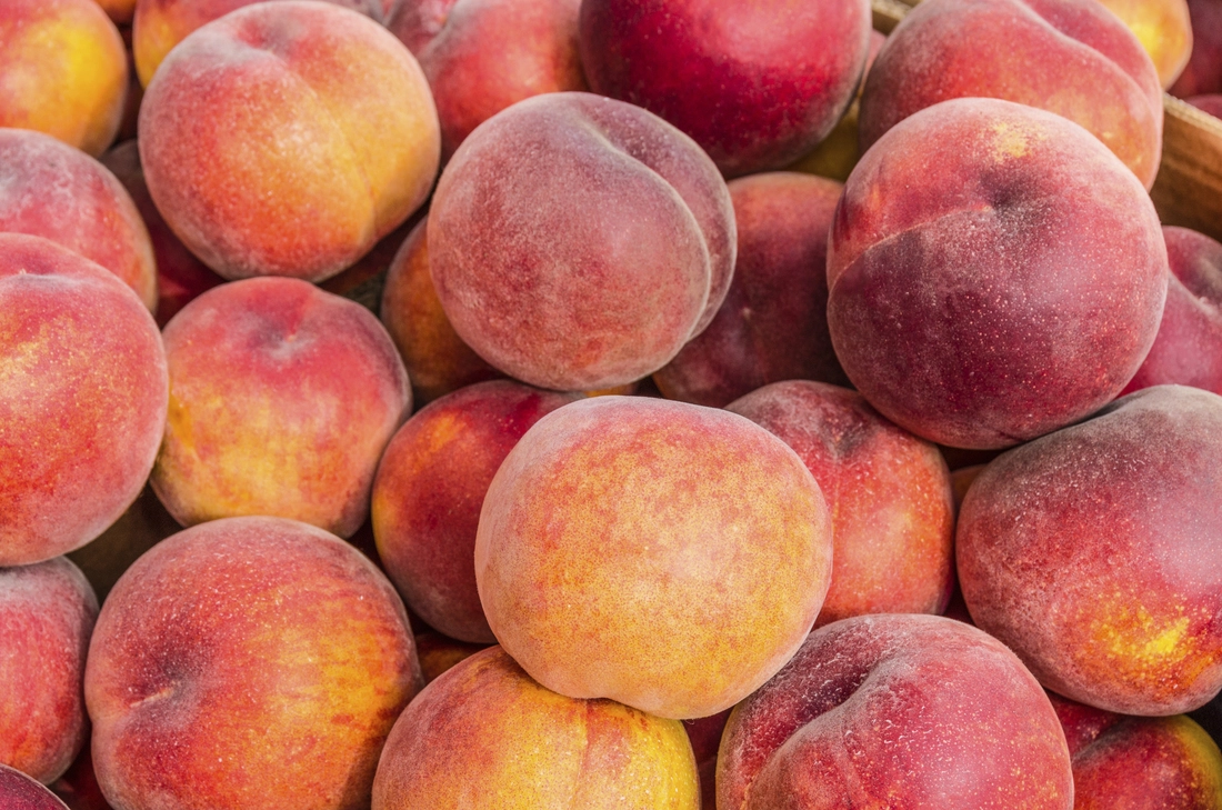 Fruit