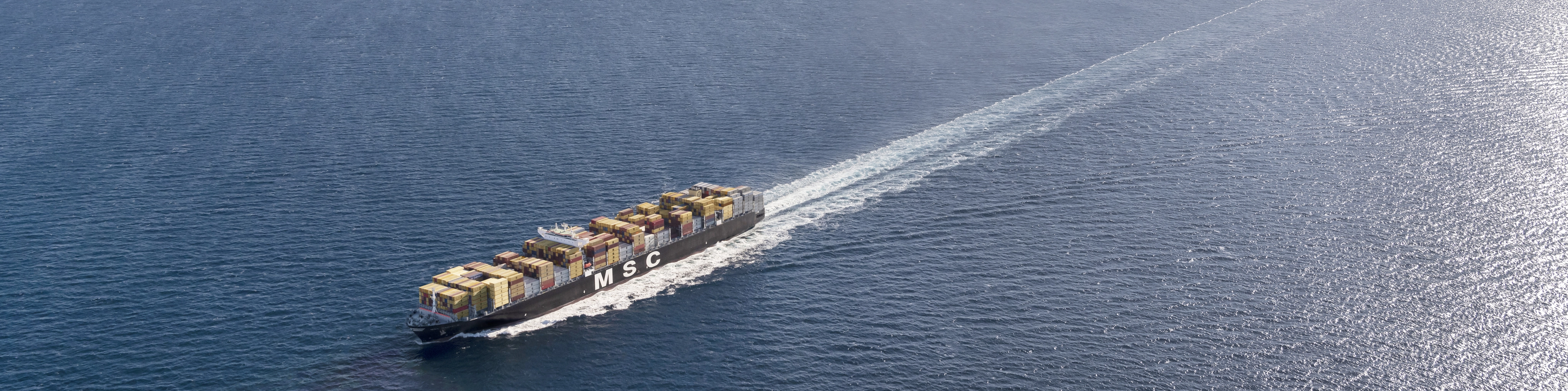 MSC Daniela