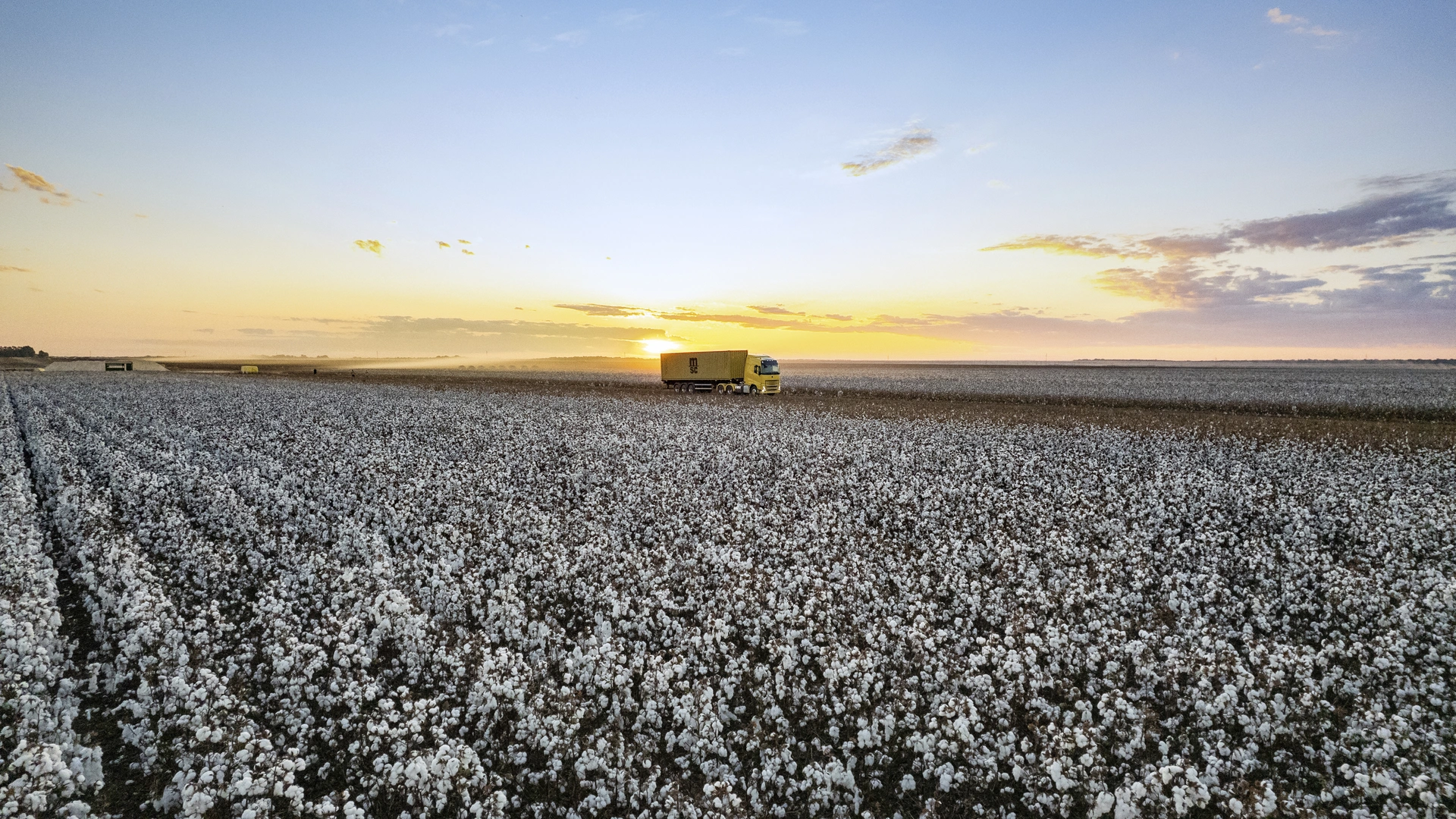MSC truck on road in a cotton field