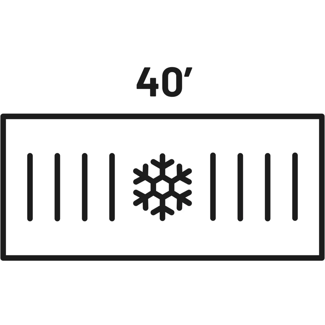 40 reefer container with size