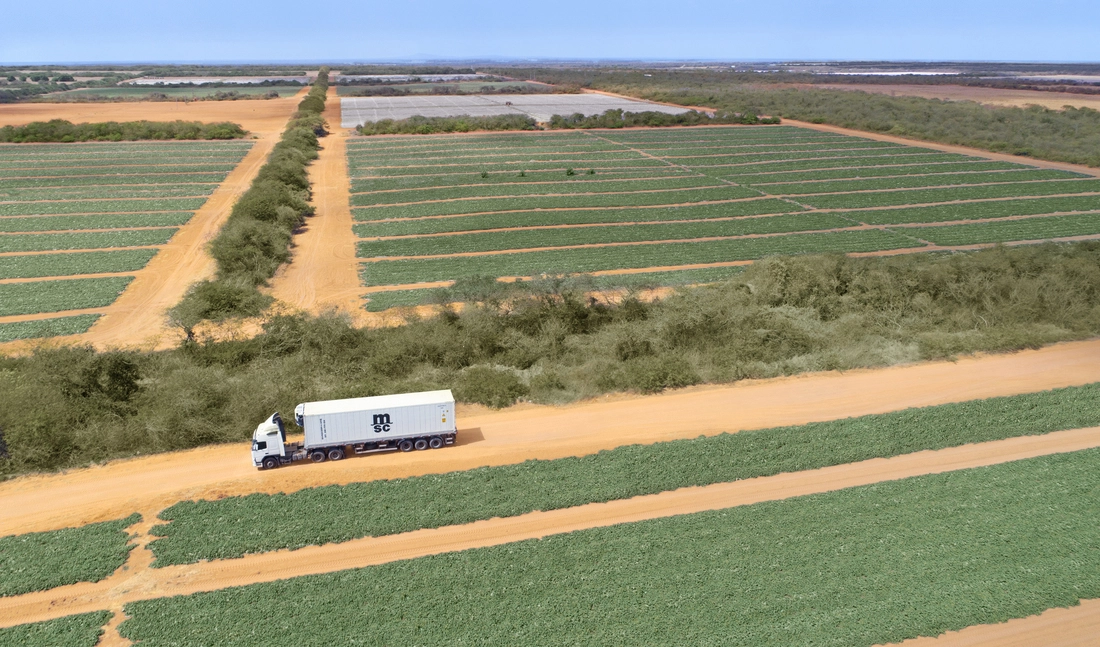 Truck with reefer container