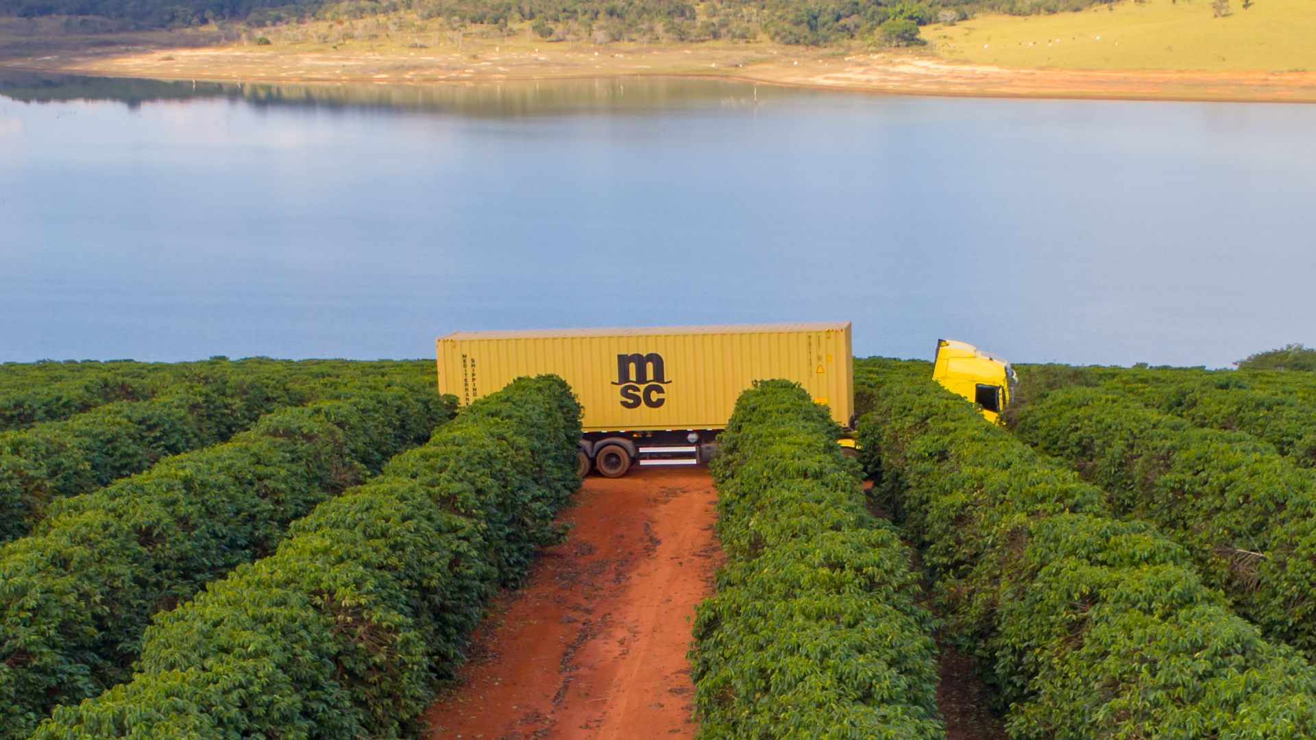 Truck with MSC dry container passing by coffee farm