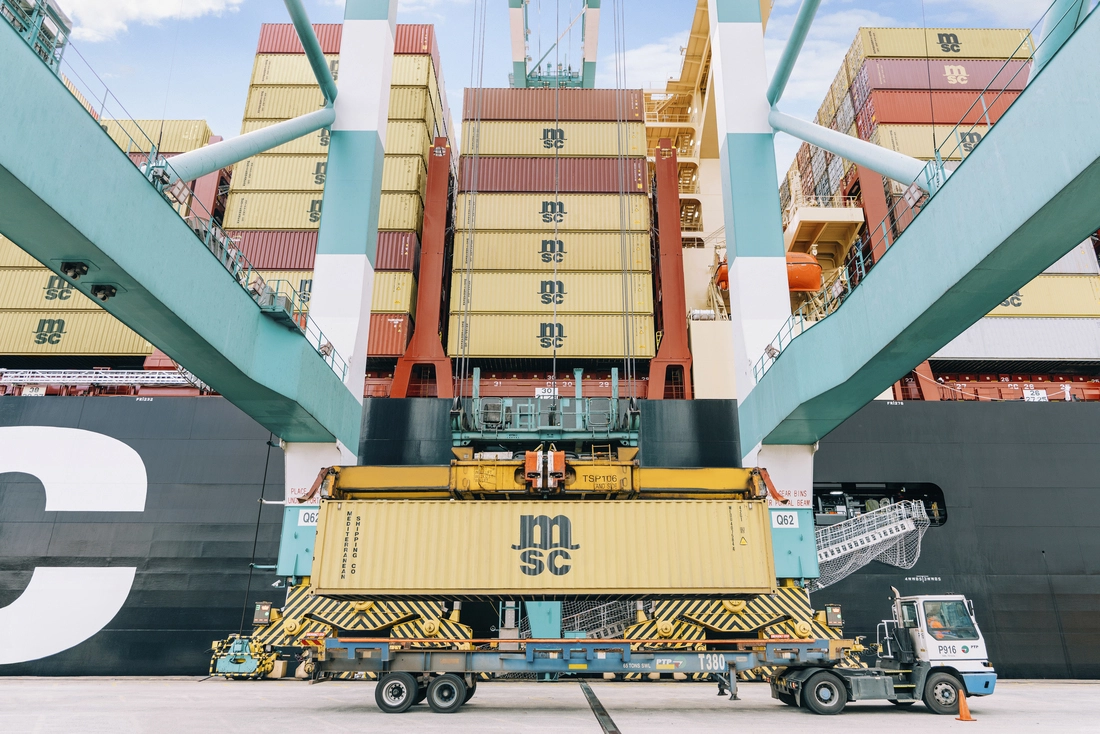MSC23019033.jpg