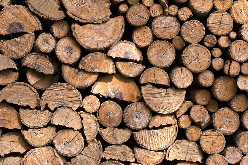 Wood