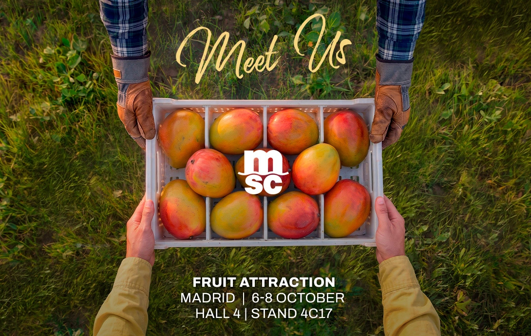 MSC Mango Key Visual Fruit Attraction 2026