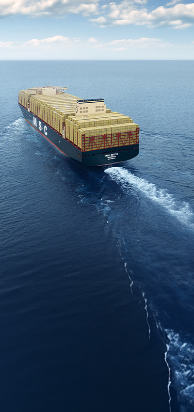 MSC23023377 400x850.jpg