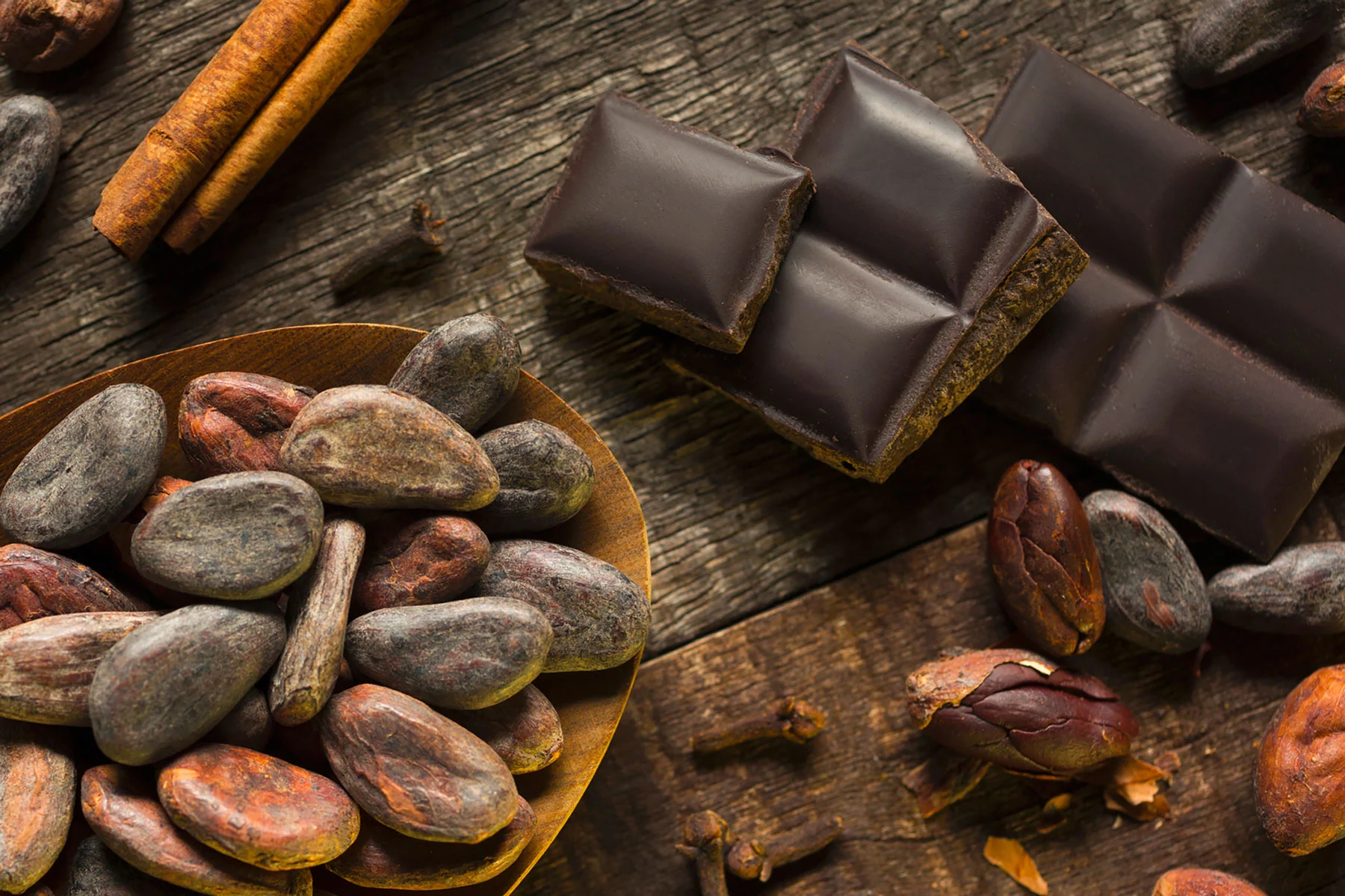 cocoa beens and chocolate.jpg