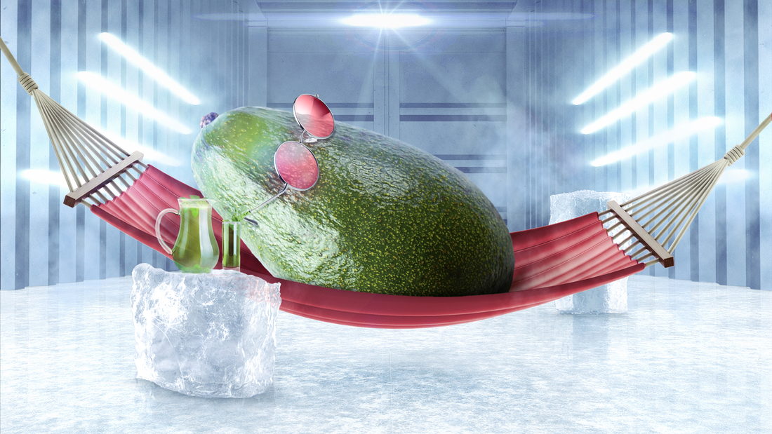 KV, Avocado