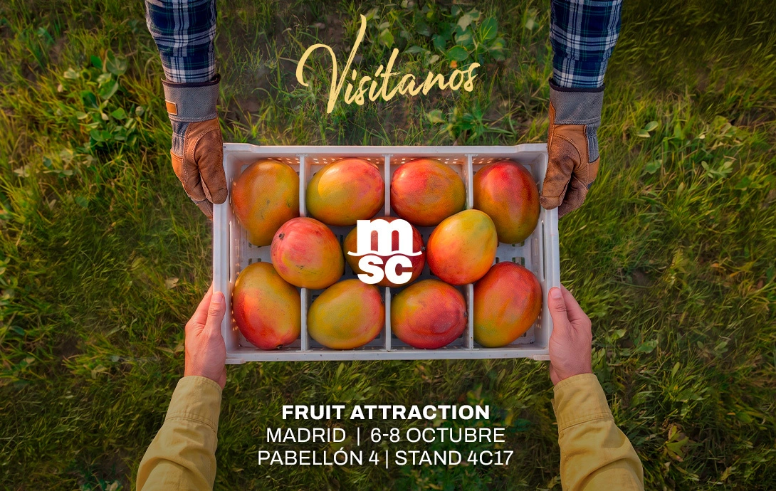 MSC Mango Key Visual Fruit Attraction 2026 - Spanish