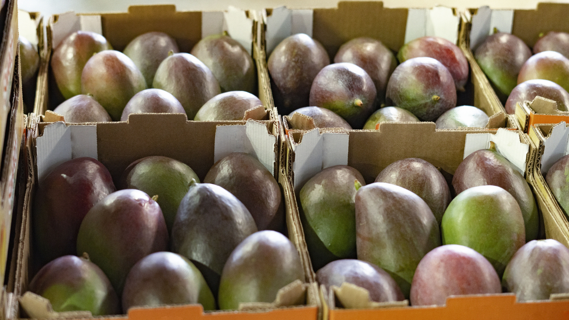 Mangos in Baskets