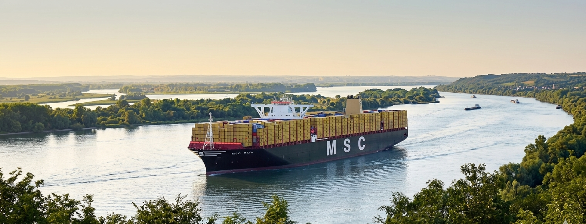 MSC Maya