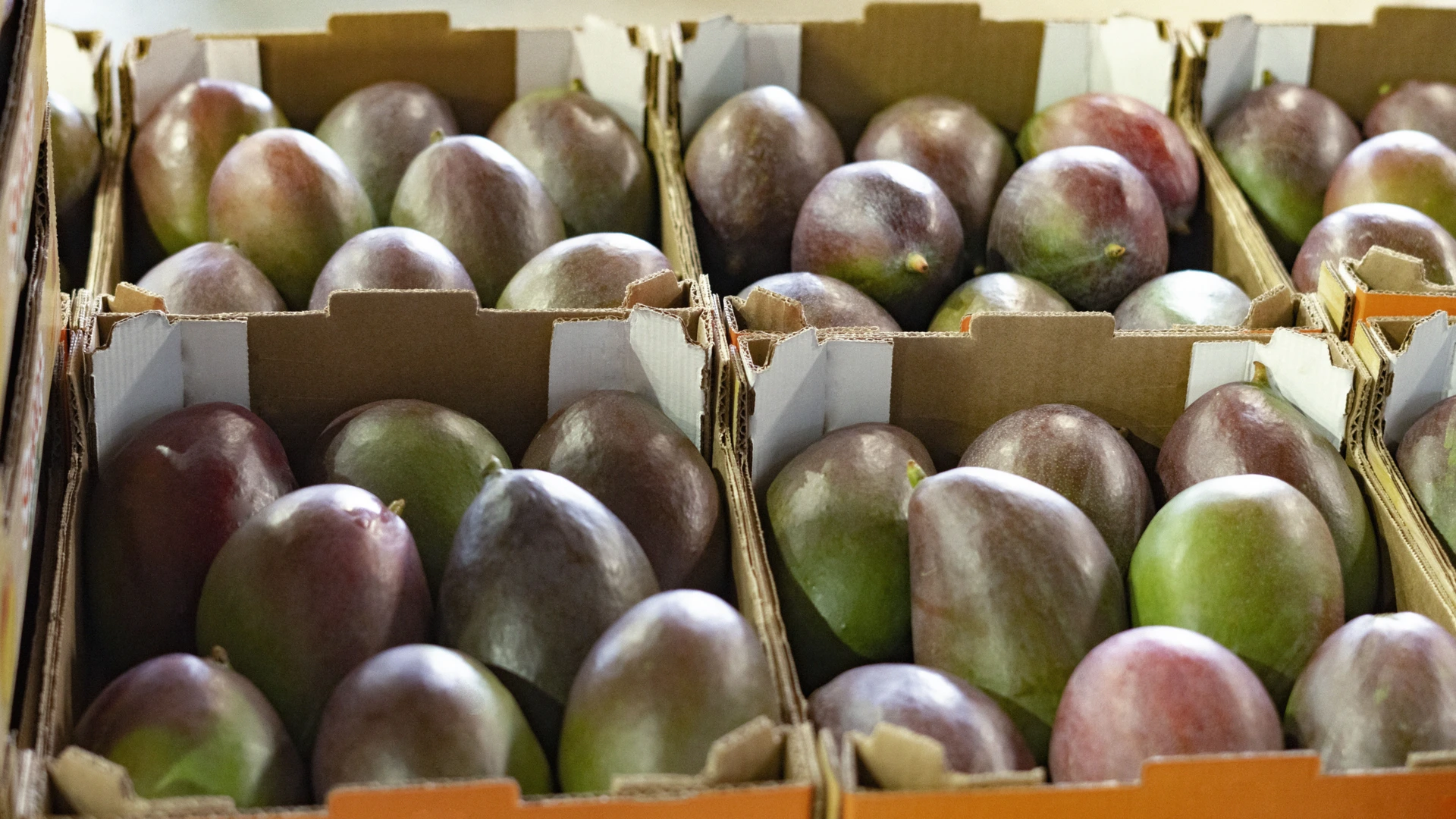 Mangos in Baskets