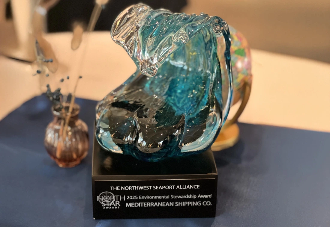 North Star Awards 2025 award