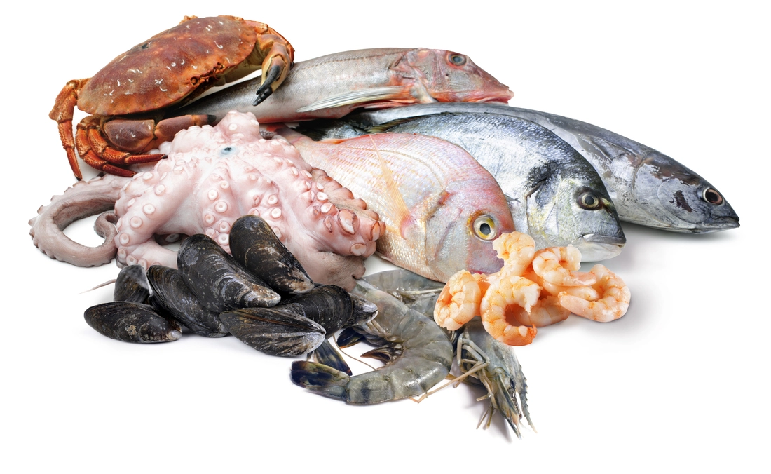 Seafood
