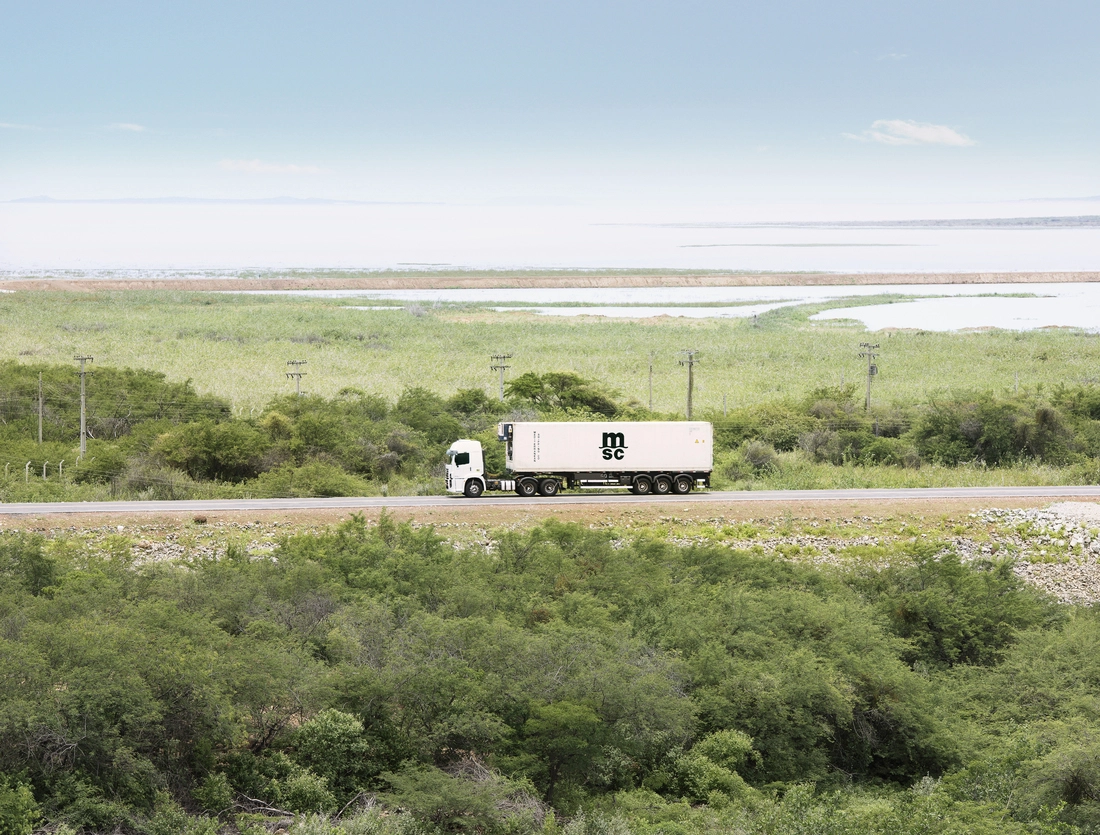 Truck with reefer container