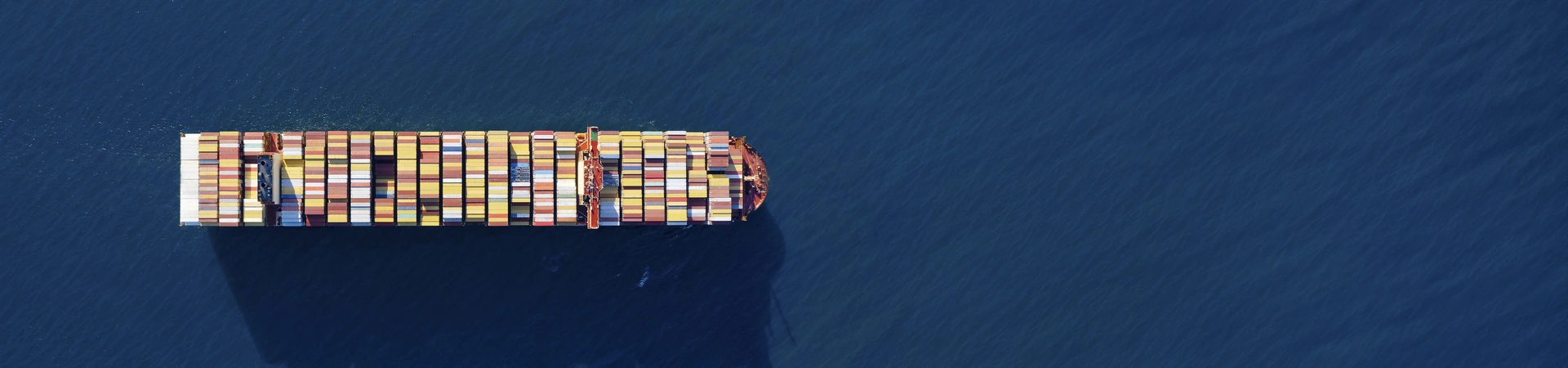 MSC Tessa