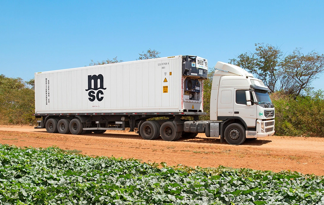 Global grape convention Chile MSC news 2026