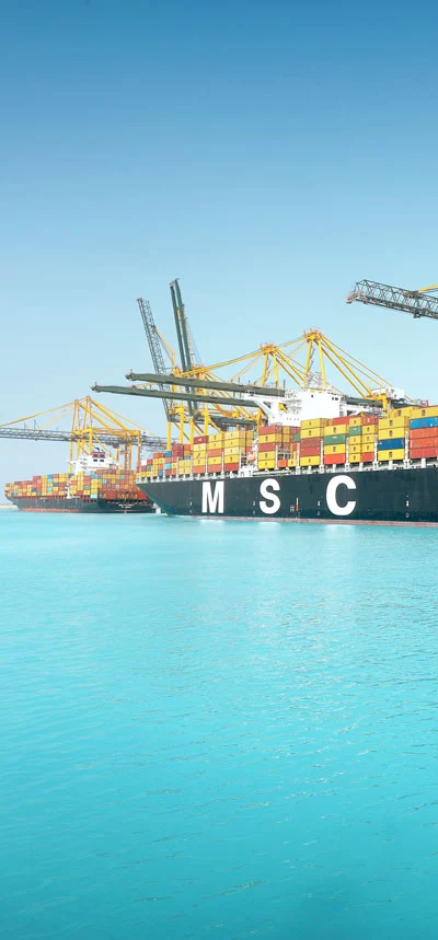 MSC Sonia at King Abdullah Port.jpg