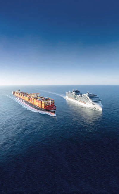 MSC cargo ship and cruise ship sailing parallel in the sea.