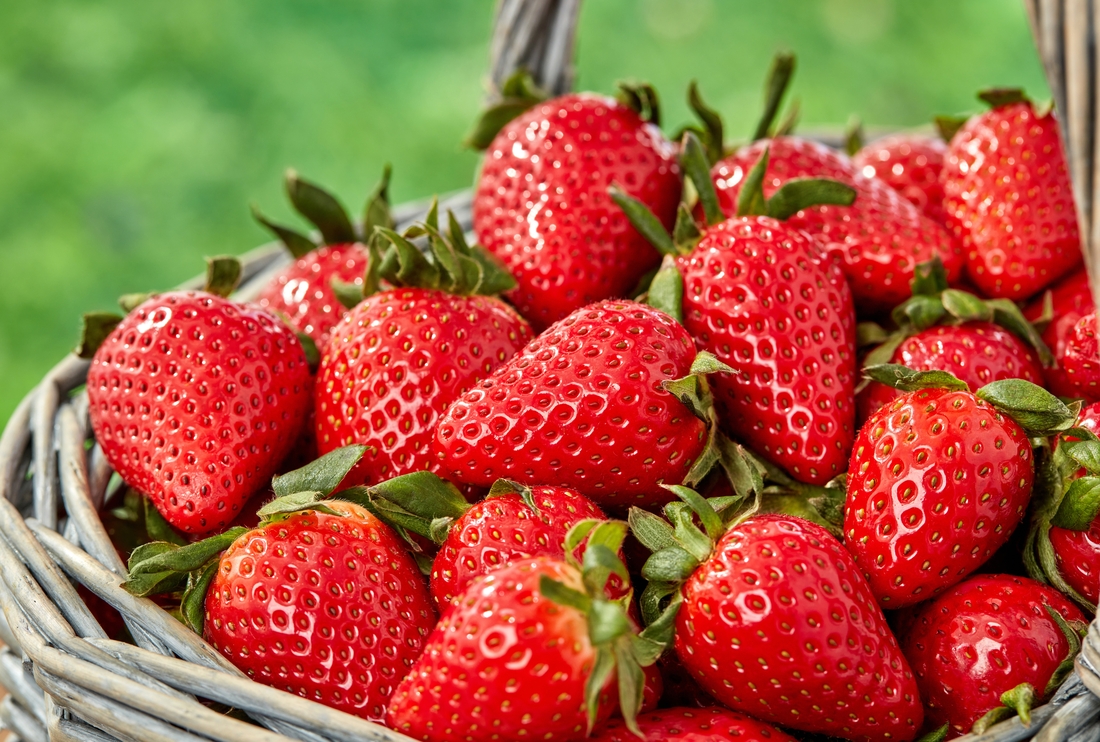 Strawberry in egypt