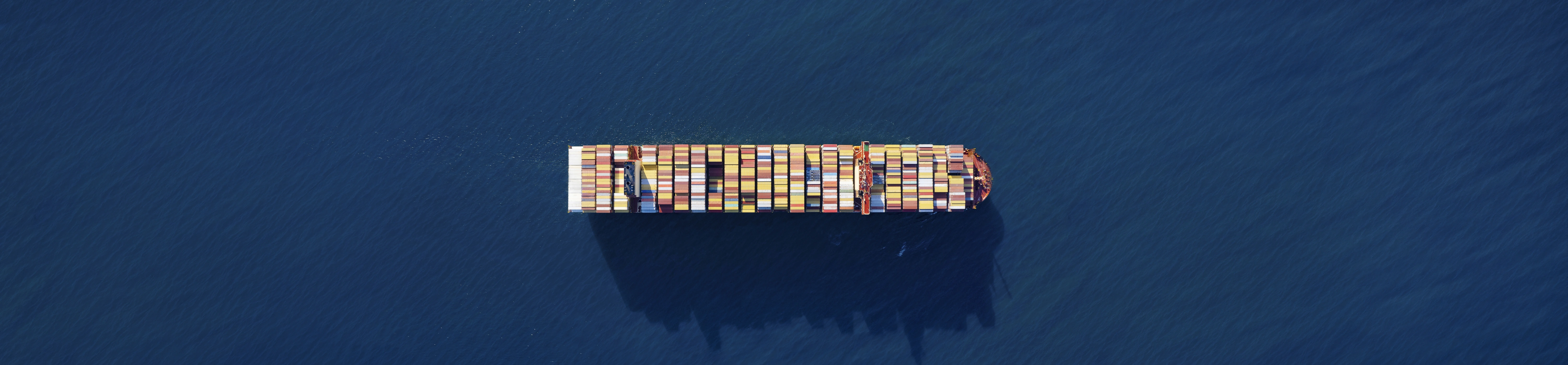 MSC Tessa
