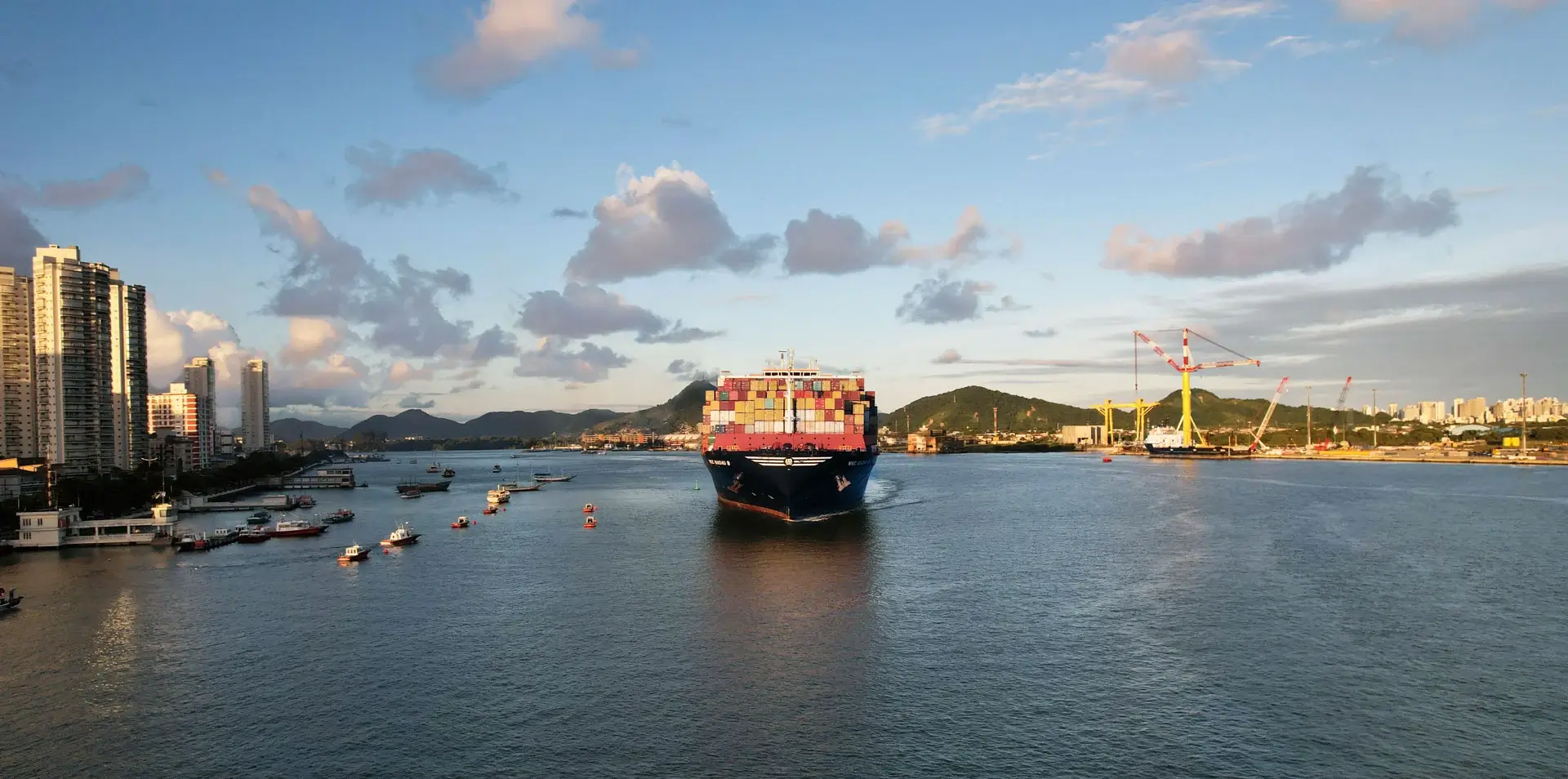 MSC Madhu B sailing near-Brazil.webp