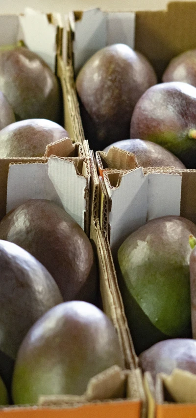 Mangos in Baskets