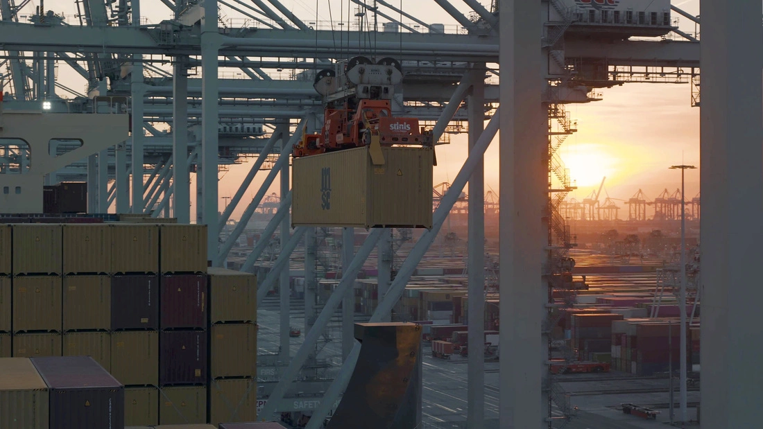 Container handling operations at a UK port, supporting MSC customs clearance and international freight movements