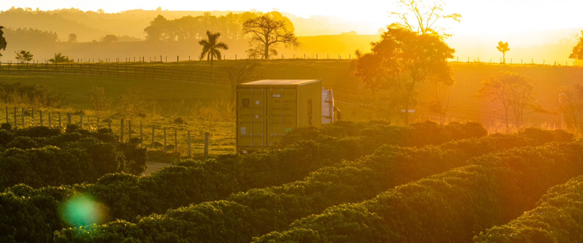 Dry Container Transportation in a Coffee Farm
