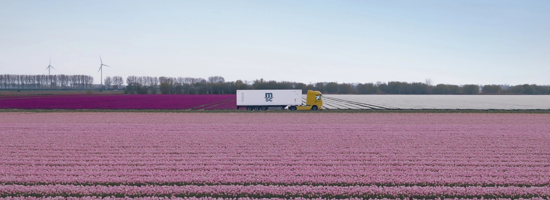 MEDLOG trucks