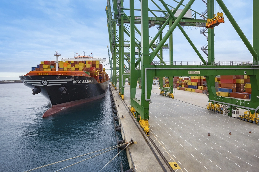 MSC18014985.jpg