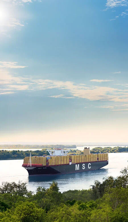 MSC Maya