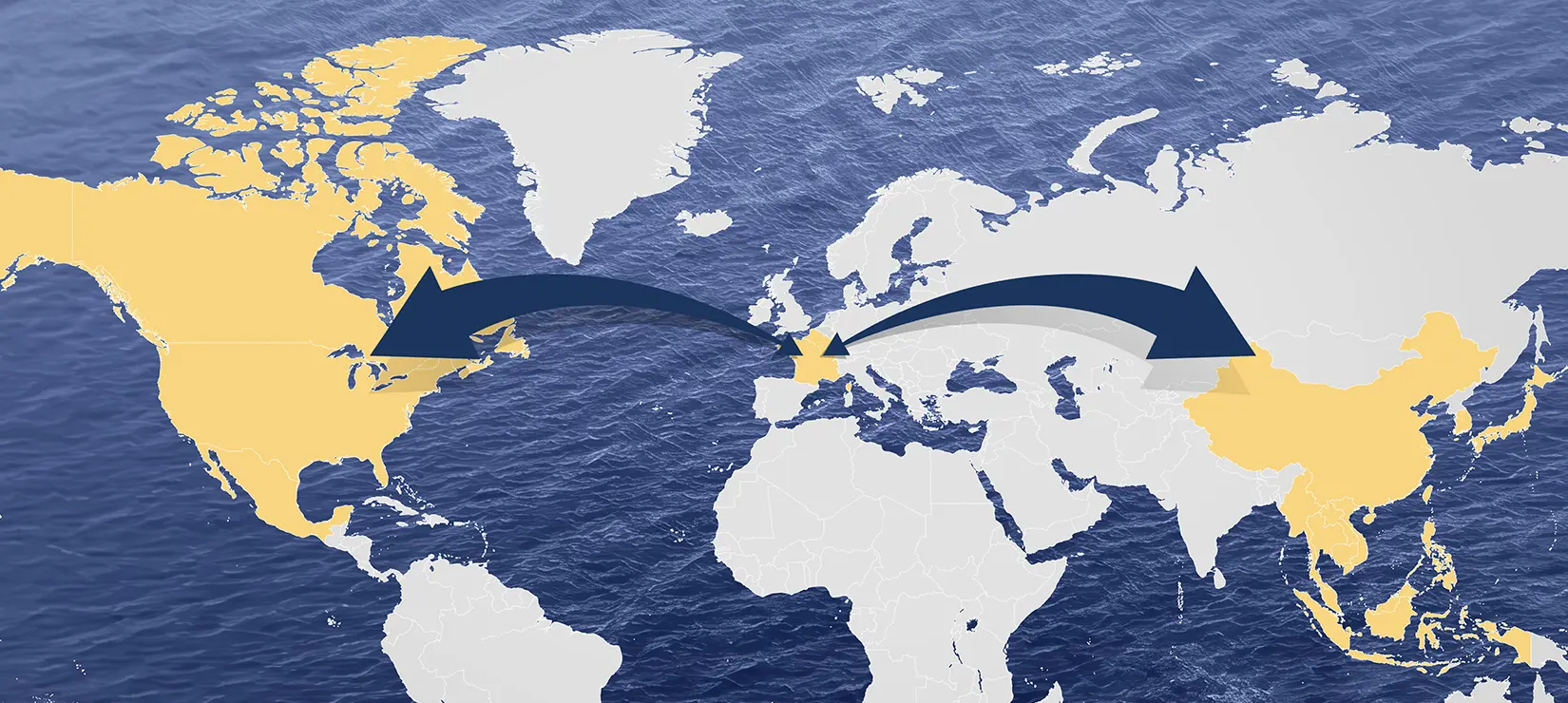 MSC France East West Network