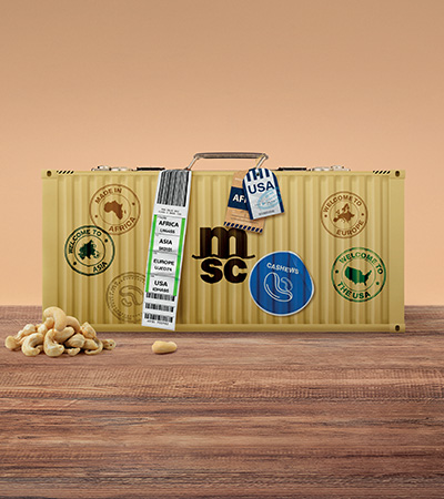 Cashew _msc.com_banner_mobile_400x450.jpg