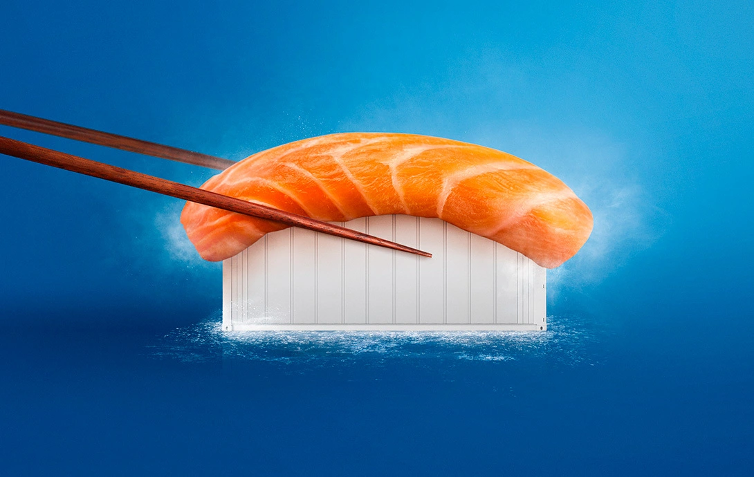 62650 msc.com 1090x690