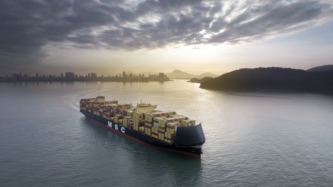MSC INSA (LNG-Powered) in Open Waters Near Santos