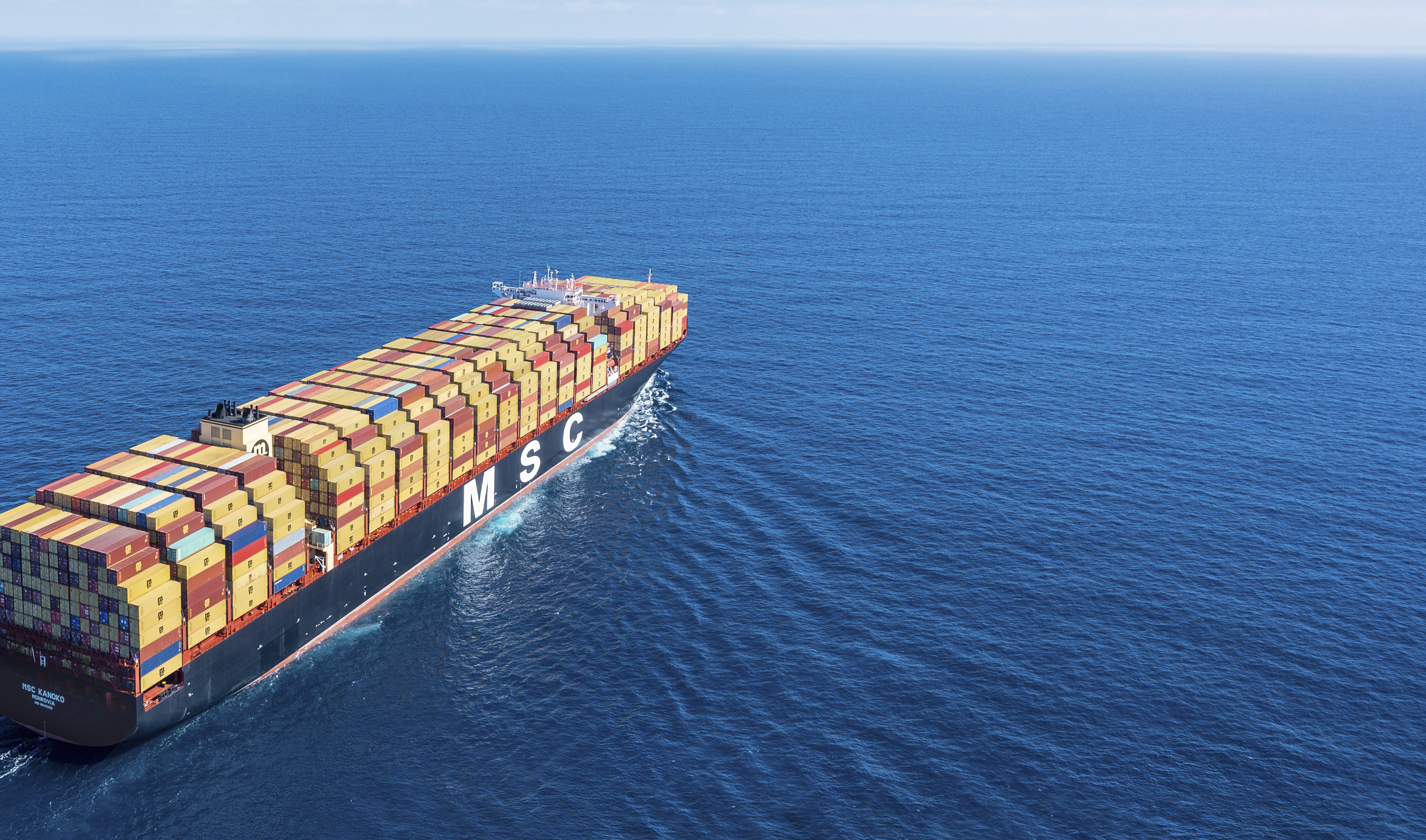 MSC Kanoko