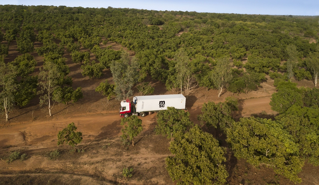 Reefer trucks on the road