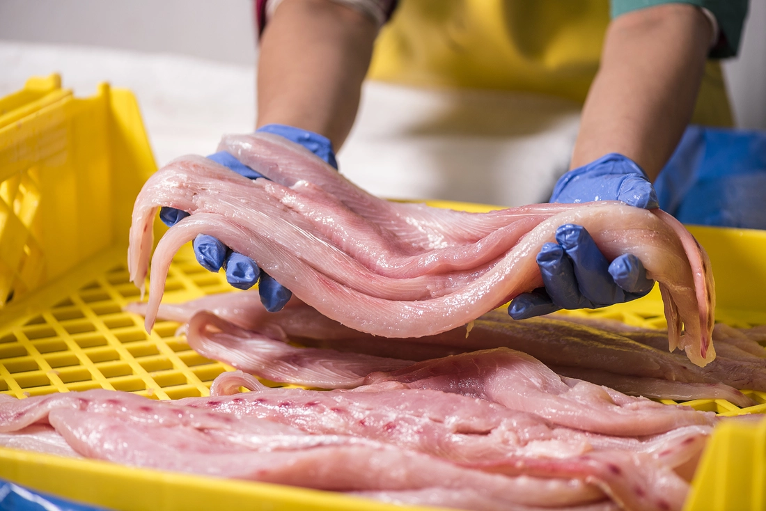 Seafood