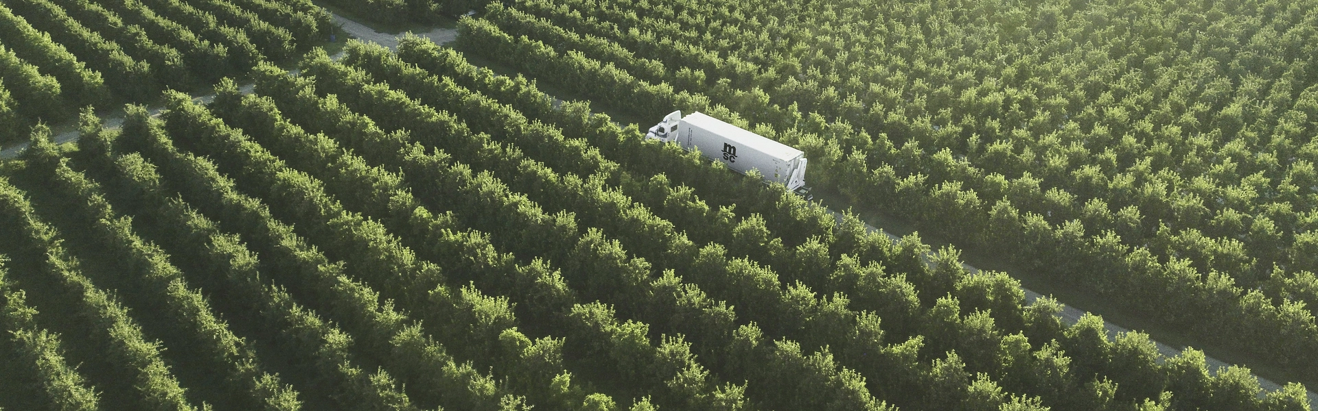 Reefer truck