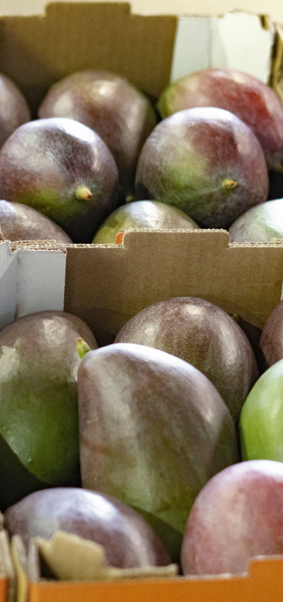 Mangos in Baskets