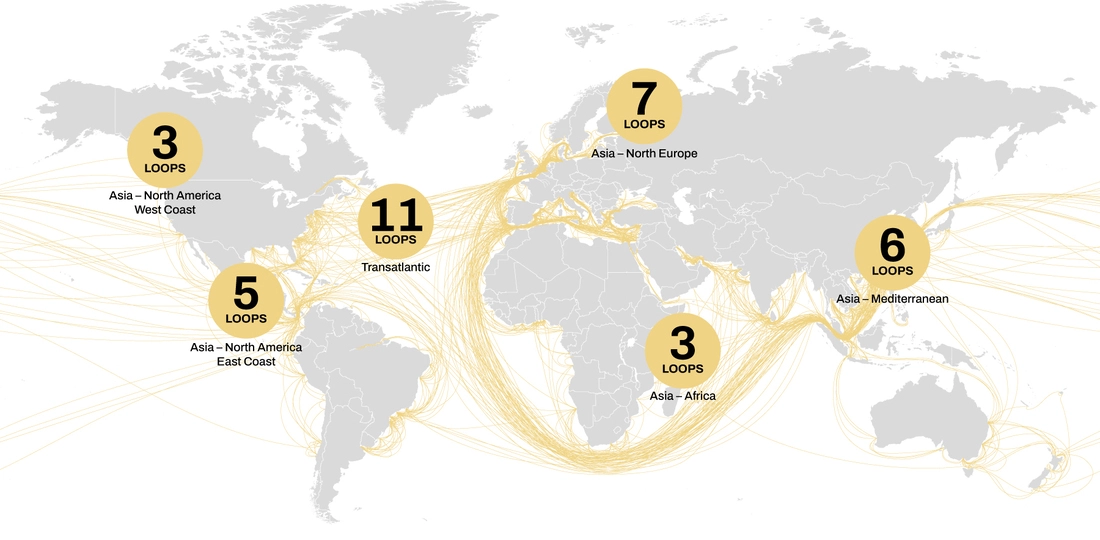MSC France Worldwide Loops Map.jpg