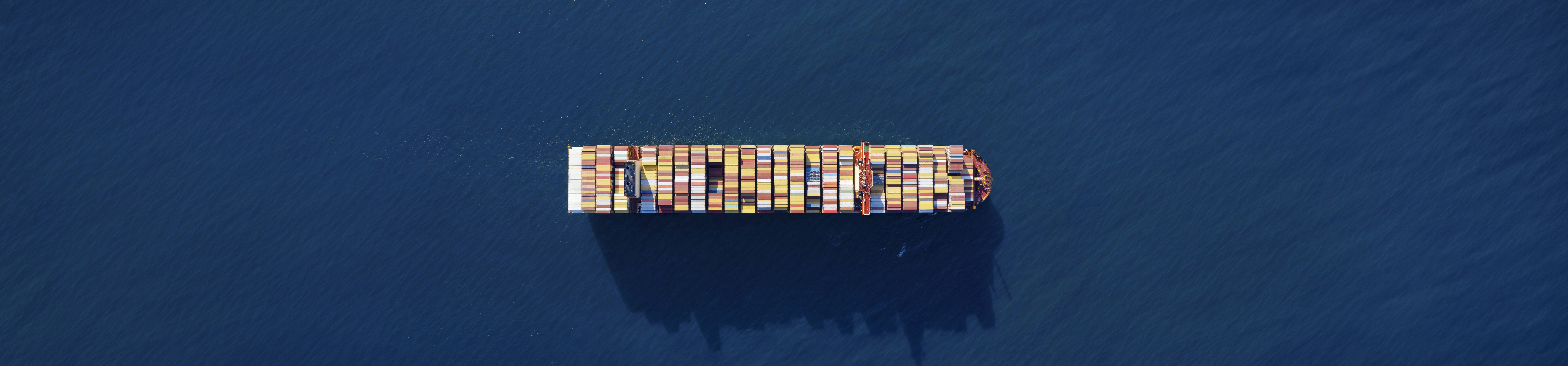 MSC Tessa
