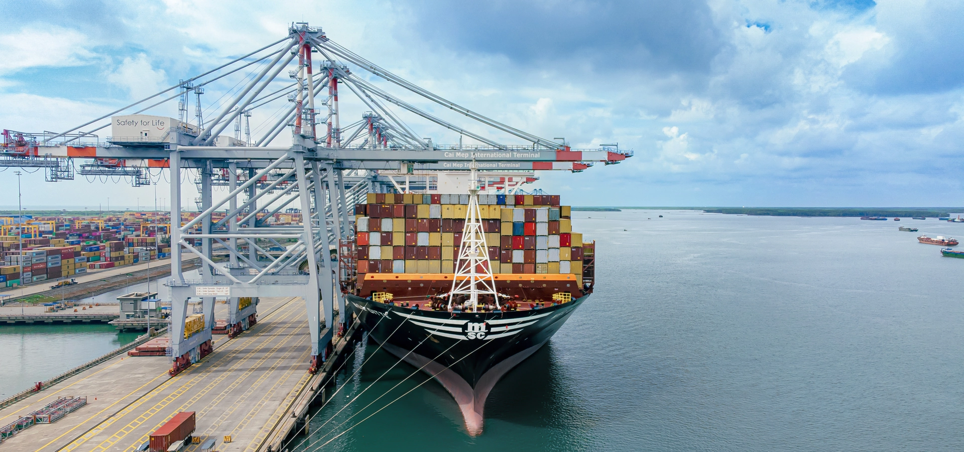 MSC Ditte