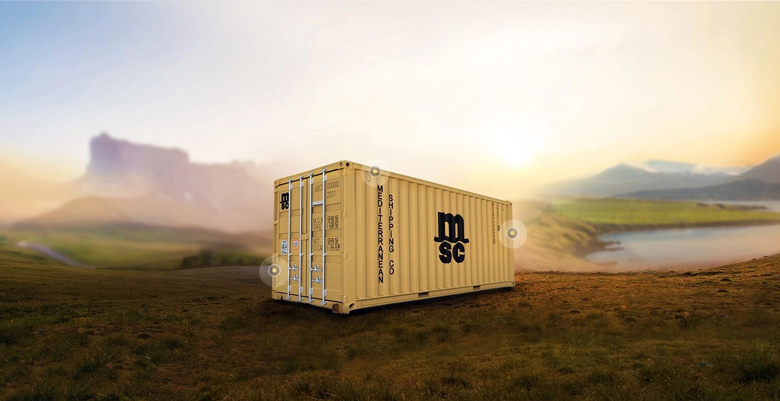 MSC Dry Container in a field.webp