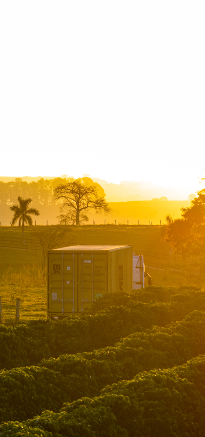 Dry Container Transportation in a Coffee Farm
