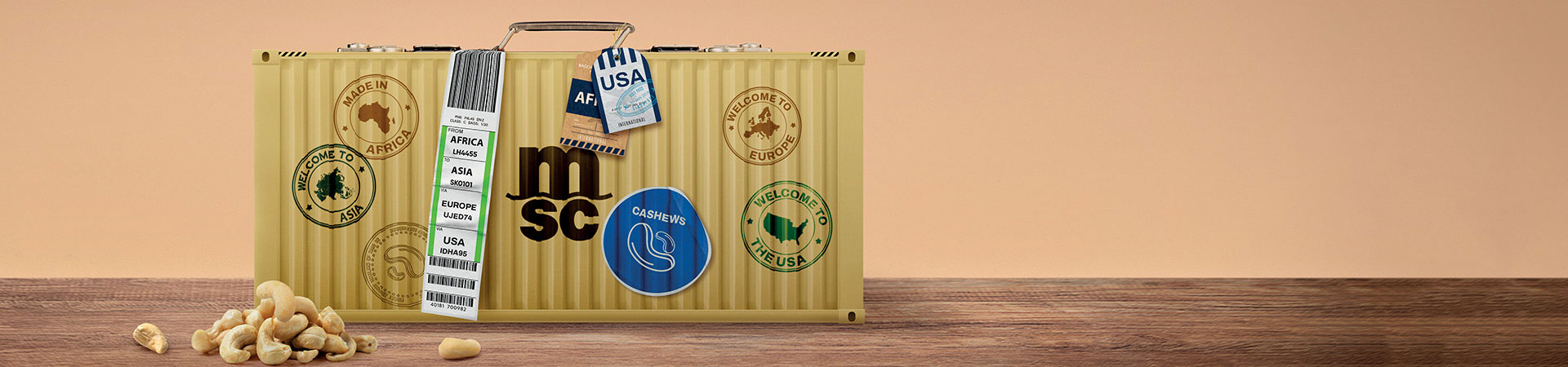 Cashew banner creativity.jpg