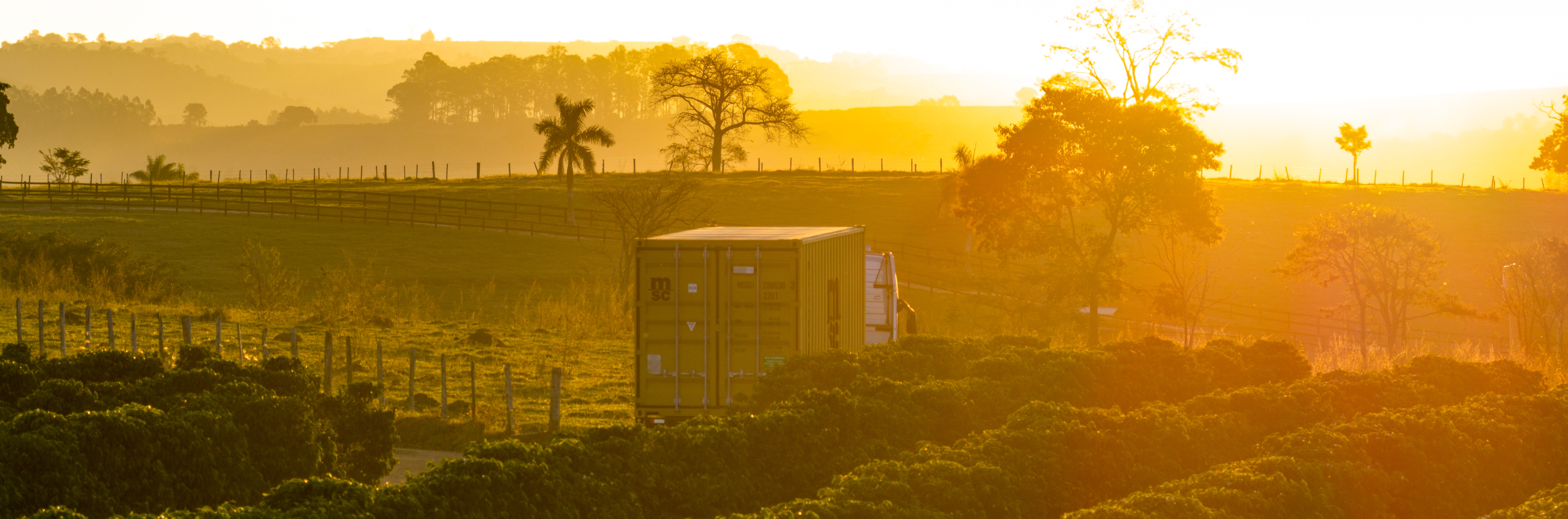 Dry Container Transportation in a Coffee Farm