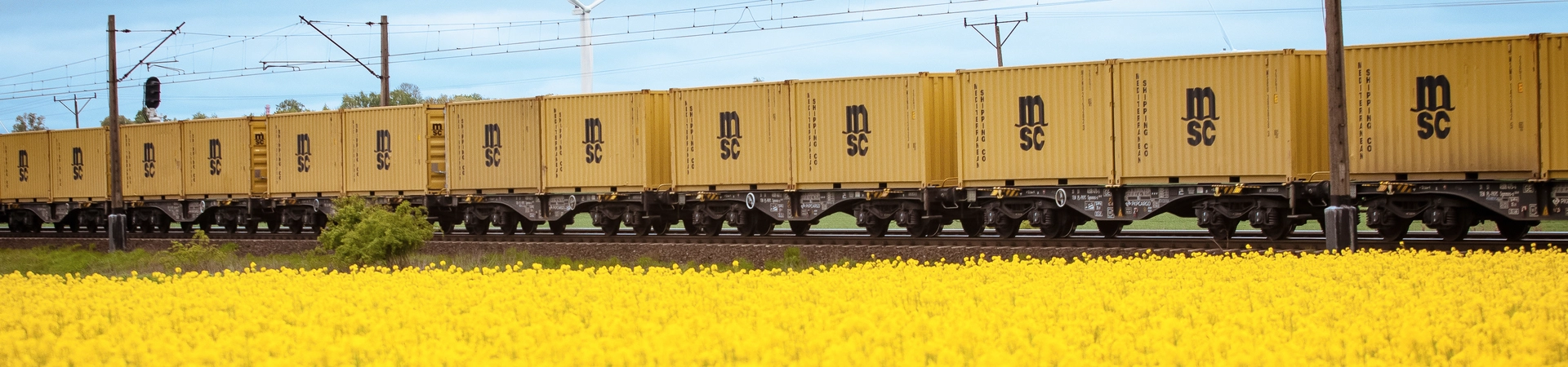 MEDLOG train